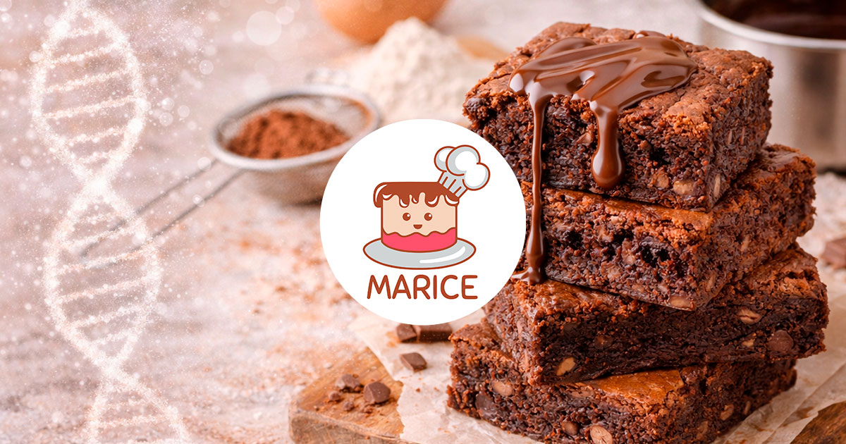 O segredo da textura perfeita do brownie: ciência, técnica e equilíbrio na confeitaria artesanal